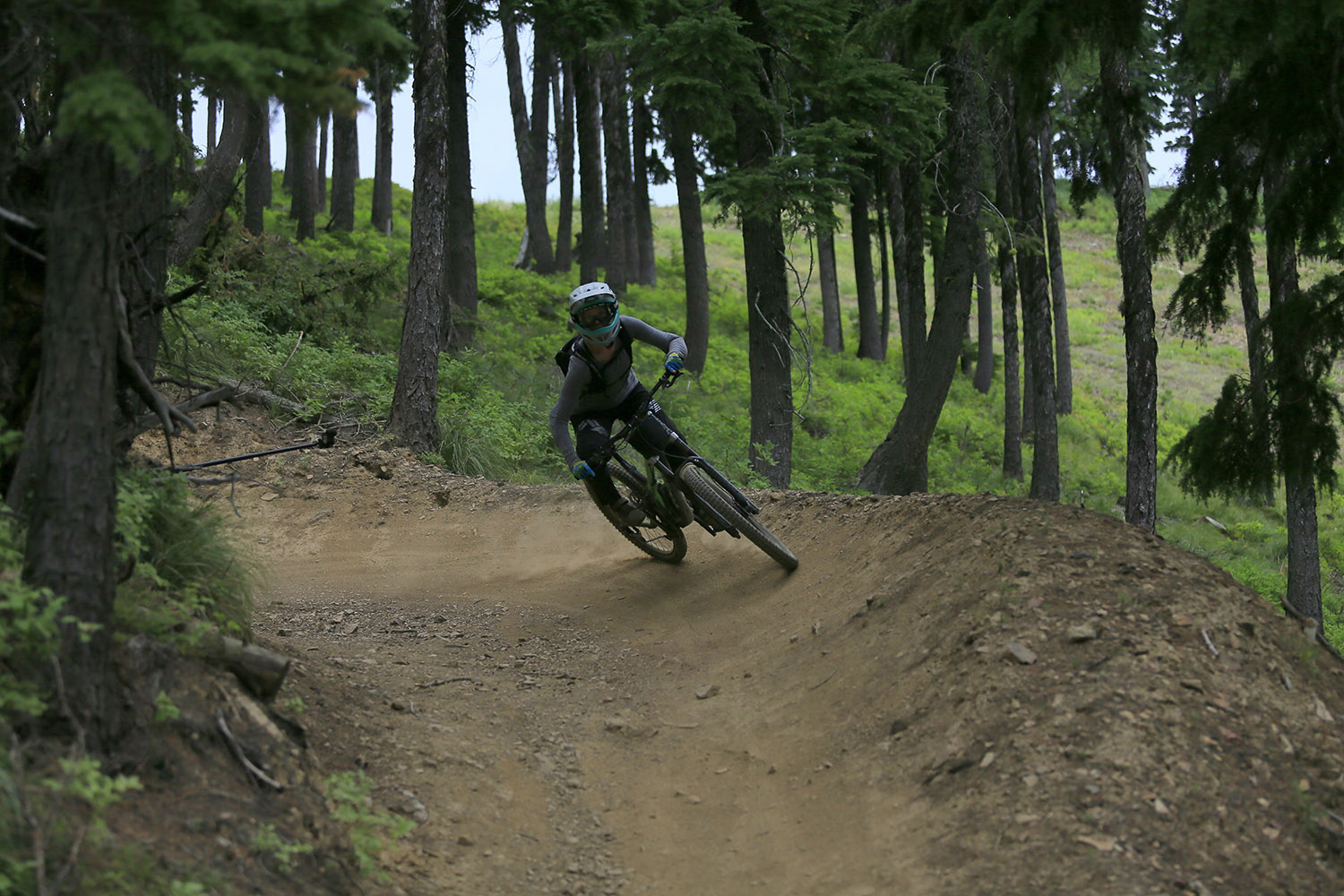 Mountain biker navigates a bermed dirt trail through a forest at Silver Mountain Bike Park, surrounded by tall pine trees and lush greenery.