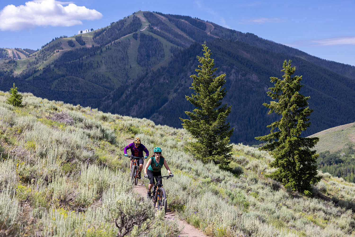 Two mountain bikers ride a narrow trail through sagebrush-covered hills near Sun Valley, with mountain slopes rising in the background.