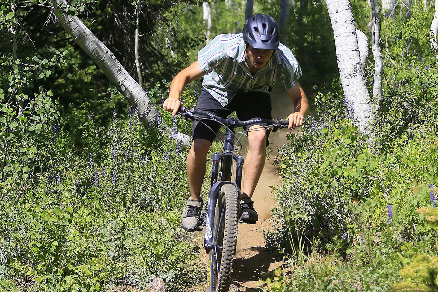 Kelly canyon discount mountain bike trails