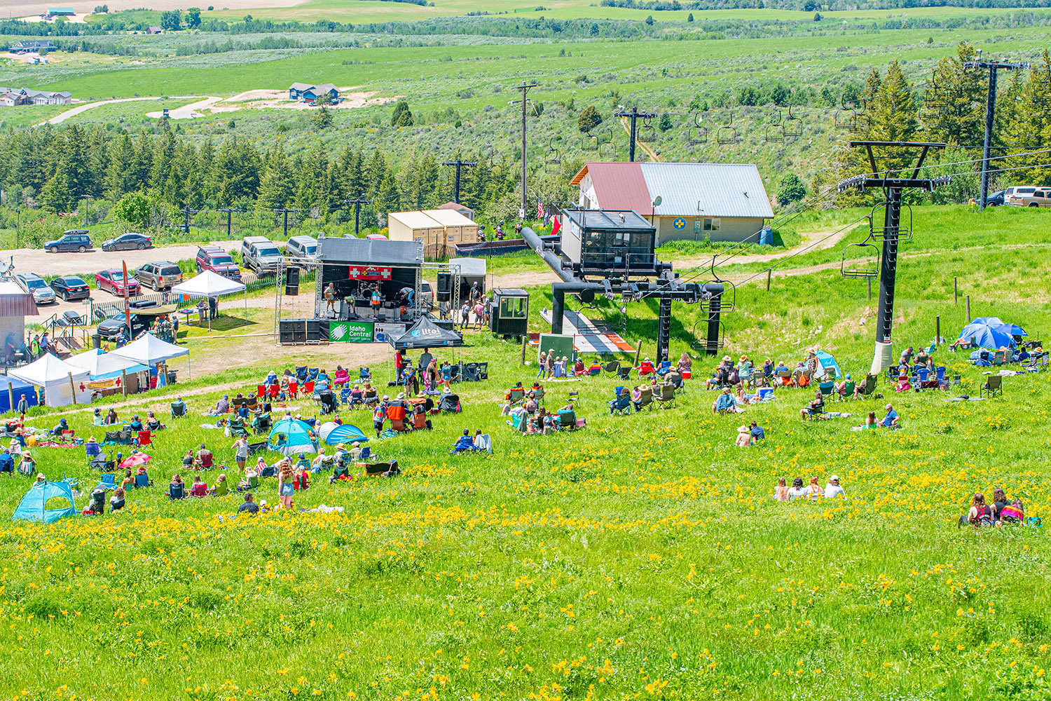 Crowds gather on a hillside at Pebble Creek Ski Area in Idaho for the Wildflower Festival, sitting among blooming yellow wildflowers with a summer stage and ski lift in the background.
