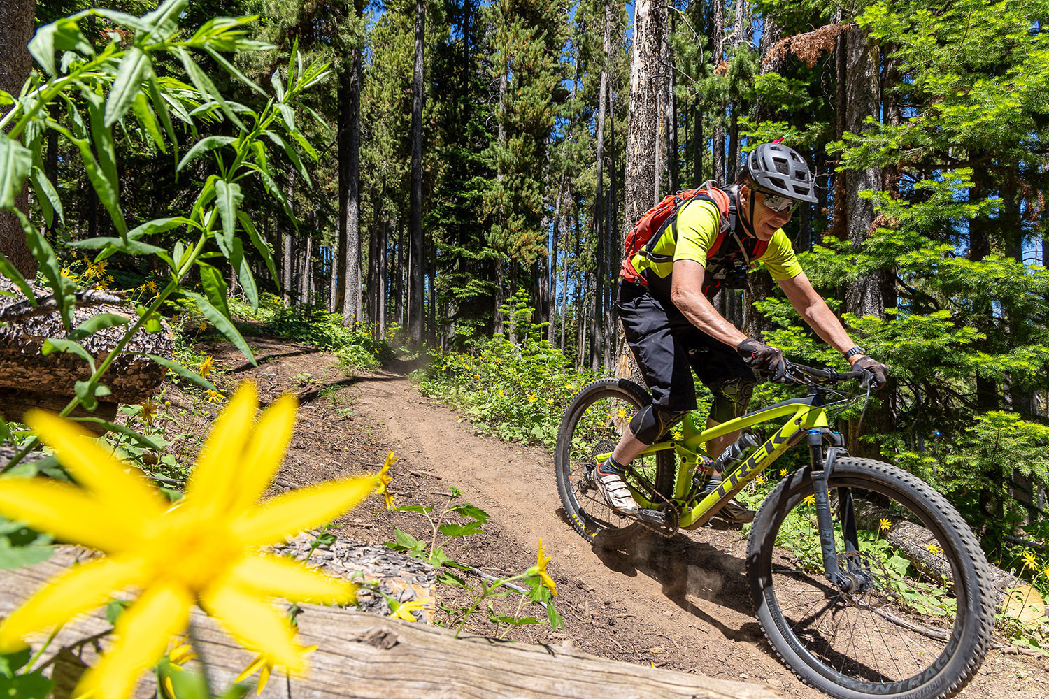 Mountain biker rides a forested singletrack trail at Pomerelle Mountain Resort in Idaho, leaning into a turn with wildflowers and tall trees surrounding the path.